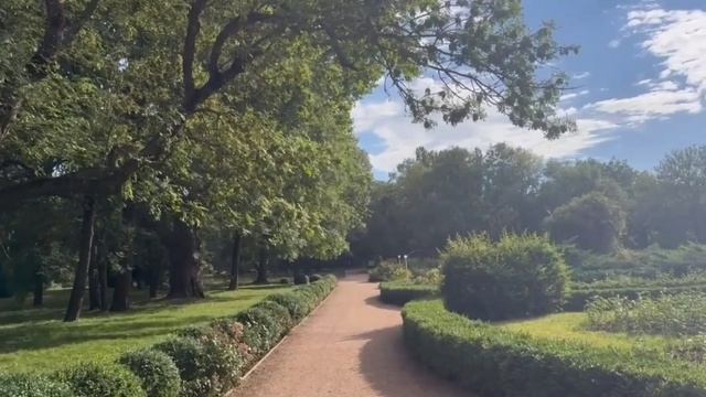 Разные звуки природы в парке. Атмосфера природы парка для отдыха сна релакса.