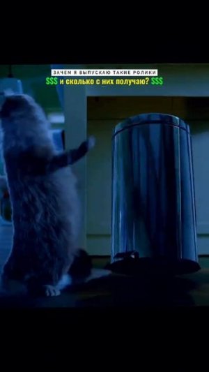 Название фильма: 🎬Девять жизней