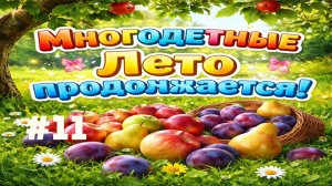 #11 Наконец-то урожай. Наша дача.