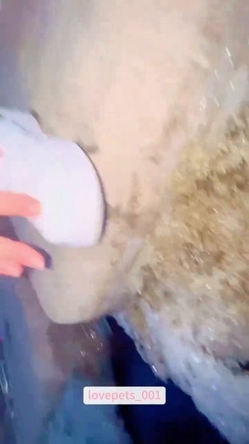 держите вещи крепче😟😟 🤣🤣
подписывайтесь на перчик🌶🌶 тут всё для хорошего настроения☺☺☺#перчик #прико