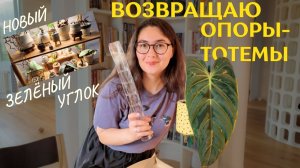 время ФИЛОДЕНДРОНОВ и ОПОР | новая ЛЮБИМАЯ ЗОНА С РАСТЕНИЯМИ, как я её ОБУСТРОИЛА
