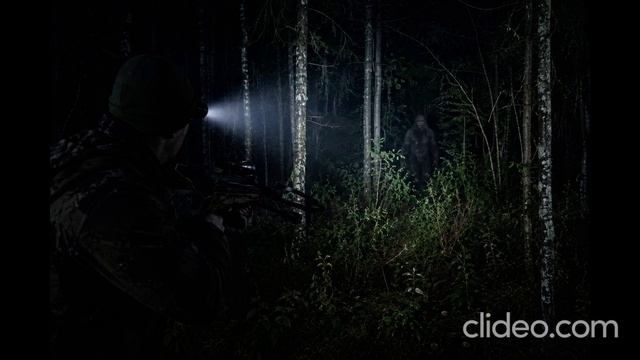 охотился на кабанов и увидел йети. история