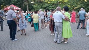 Розы алые....... 16.08.26 Гомель парк Луначарского 🥰💫