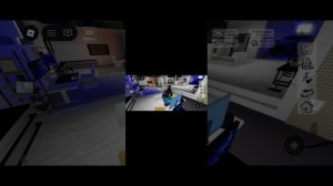играю с моей сестрой в brook heaven