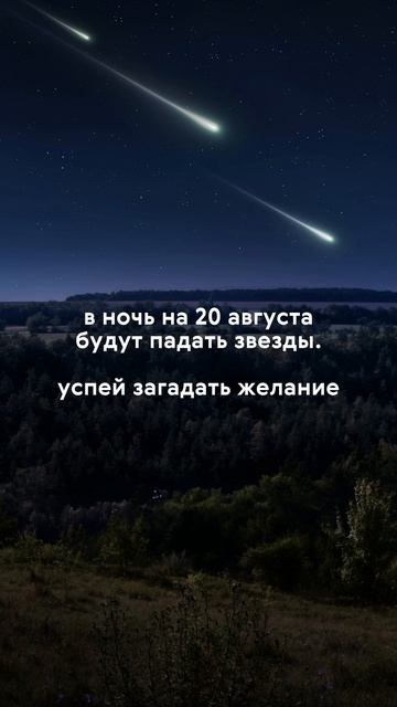 Звезды 🌟