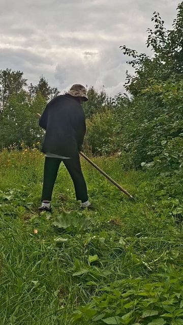 В деревне, тема собаки и кошки