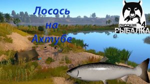 Русская Рыбалка 4 / РР4 /Ахтуба / Фарм