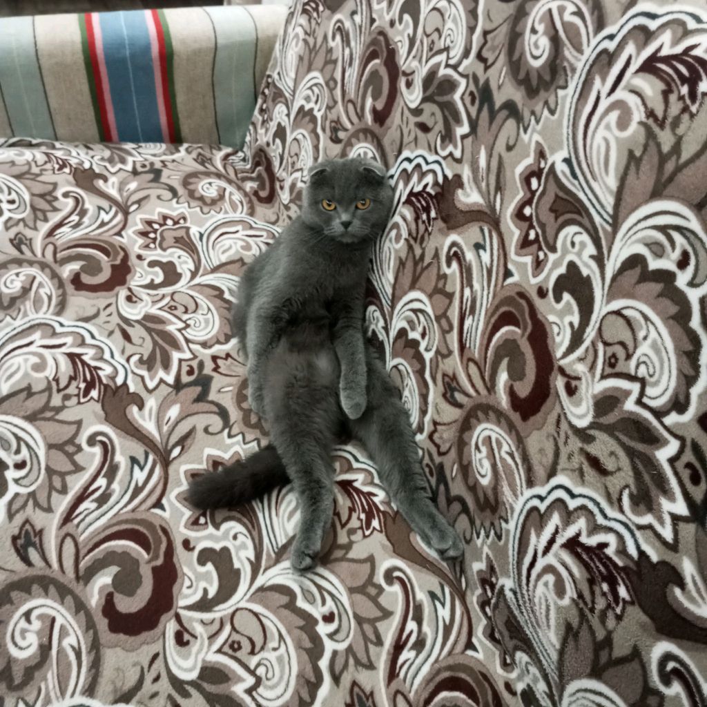 алмазная мозаика