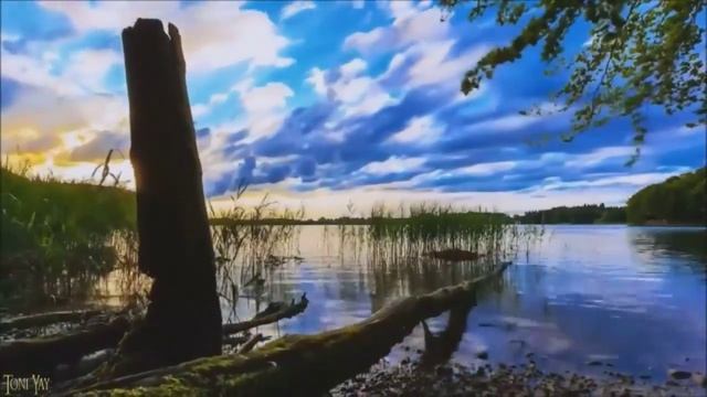 Emerson Lake  Palmer -