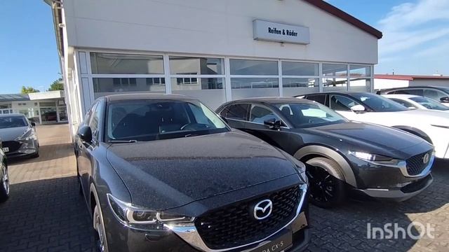 Обзор цен на авто в Германии 🇩🇪
Mazda, VW.