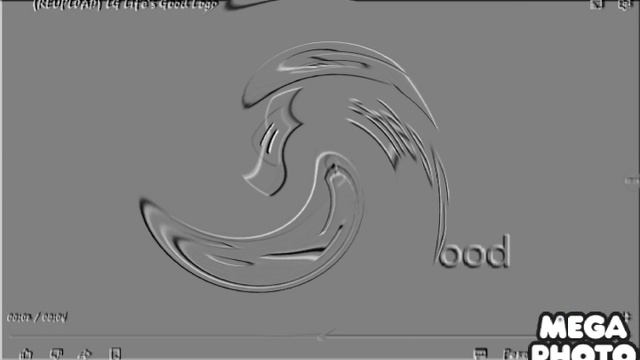 LG Logo In Swirl Embosser