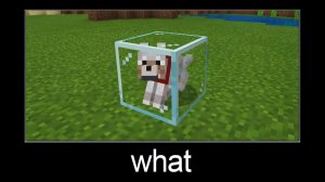 Майнкрафт — мем Стоп что???