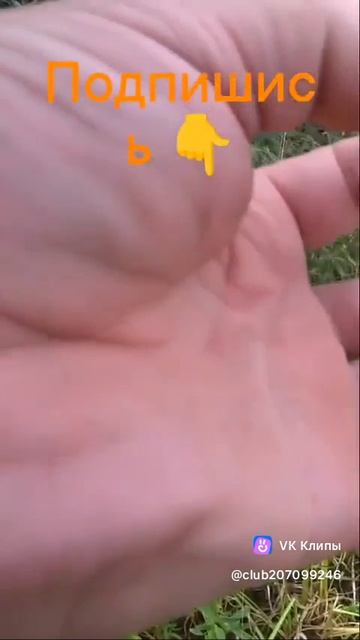 Находка на берегу