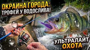 Мормышинг в ШТОРМ 15 м/с! Жор окуня на ручье и разбор снастей