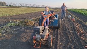Жизнь Деревенская