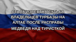 Стала известна судьба владельцев турбазы на Алтае после расправы медведя над туристкой