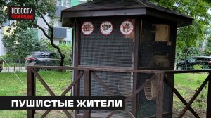 Жители дома в Мытищах оборудовали вольер для белок