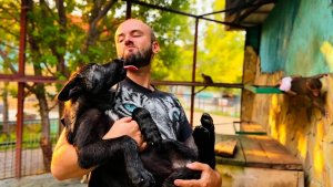 МИЛОТА ЗАШКАЛИВАЕТ! Тайган уже большой, но всё так же ПРОСИТСЯ НА РУЧКИ❤️