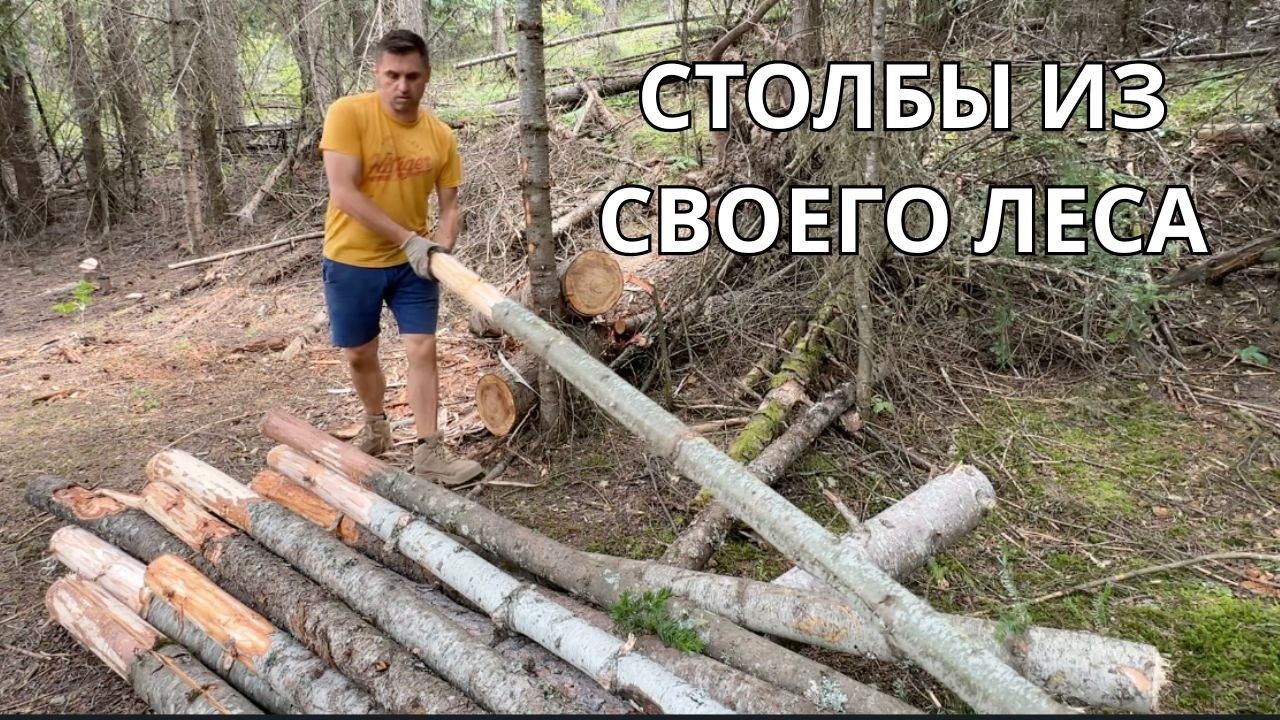 Делаем столбы из своего леса. Экономия или зря потраченное время?