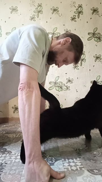 Кото-Отжимания. 223 день эксперимента #rochevpress #чернаякошка #саморазвитие #осознание #отжимания