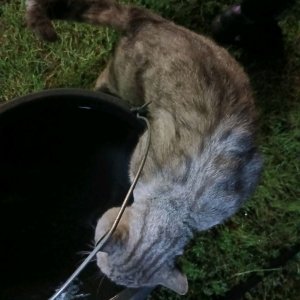 я на плошадке сове