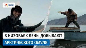 В Якутии начался сезон добычи арктического омуля