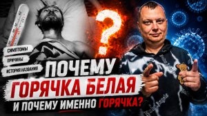Почему горячка БЕЛАЯ — и почему именно «горячка»?