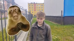 Челендж на работе 🦍