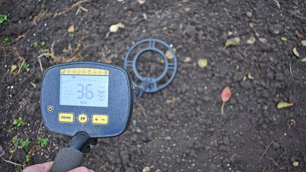 Что может металлоискатель за 950 рублей из ДНС