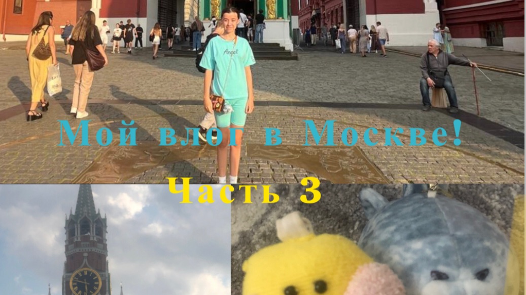 Я приехала в МОСКВУ? Новый влог с тюленем Виталием!:ЧАСТЬ 3