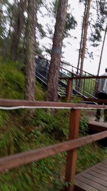 Укрепляем здоровье,поднимаясь по лестнице 🪜