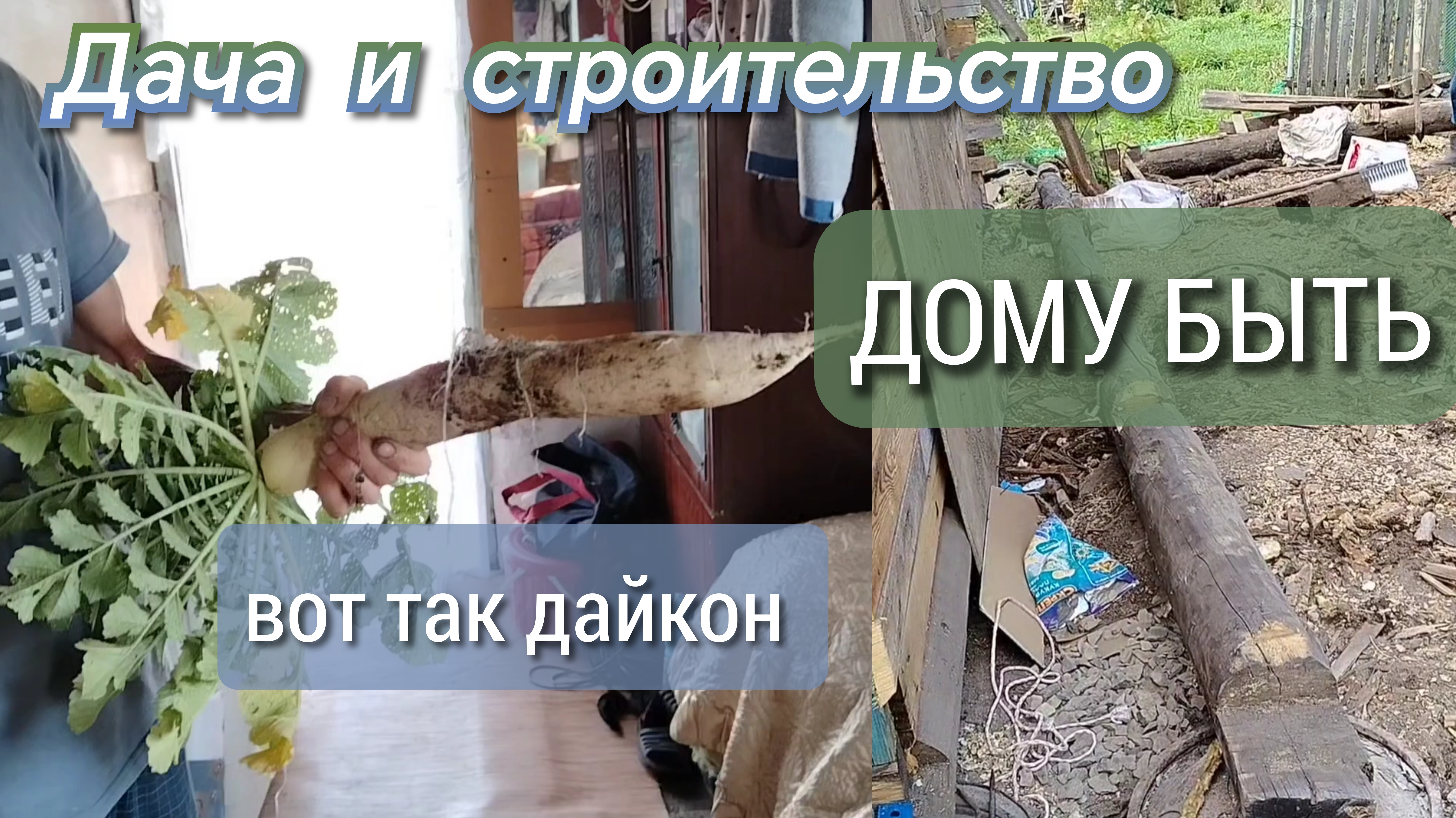 Дача и строительство//дому быть//вот так дайкон