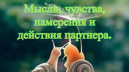 Мысли, чувства, намерения и действия партнера.