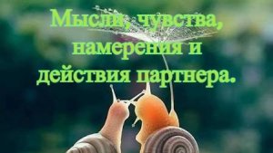 Мысли, чувства, намерения и действия партнера.