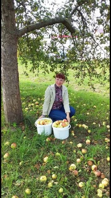 Счастливого Яблочного Спаса 🍎🍎