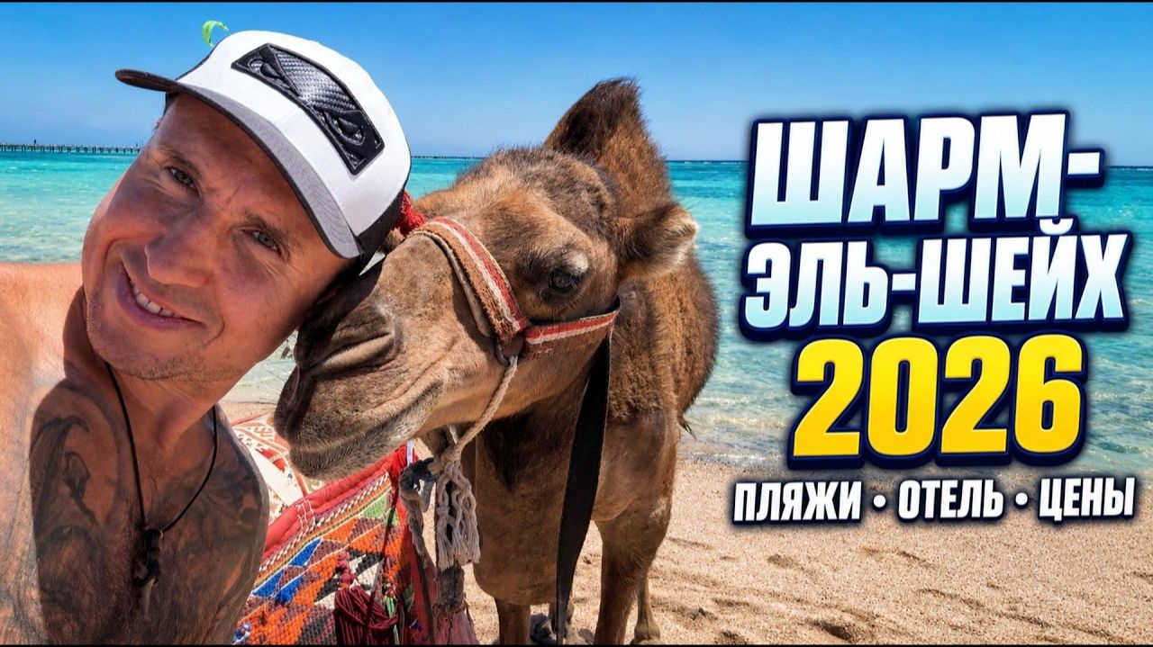Шарм-эль-Шейх 2026: стоит ли ехать? Пляжи, цены и обзор Monte Carlo Sharm Resort 5★