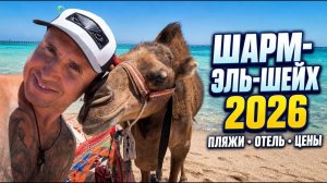 Шарм-эль-Шейх 2026: стоит ли ехать? Пляжи, цены и обзор Monte Carlo Sharm Resort 5★