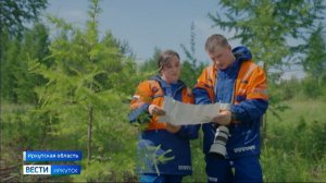 Российские ученые и экологи оценили состояние сибирской тайги на границе Иркутской области и Якутии