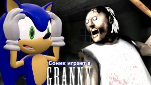 Соник Играет GRANNY !!!