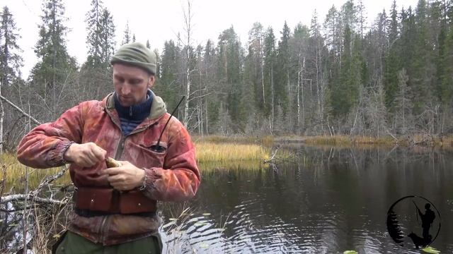ОХОТА, РЫБАЛКА,БРАКОНЬЕРЫ СТРЕЛЯЛИ ЛОСЯ. МЕДВЕДИ ВЕРНУЛИСЬ.