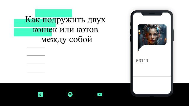 Как подружить двух кошек или котов между собой