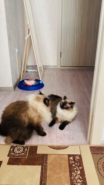 С утра не узнали друг друга девчата 😄