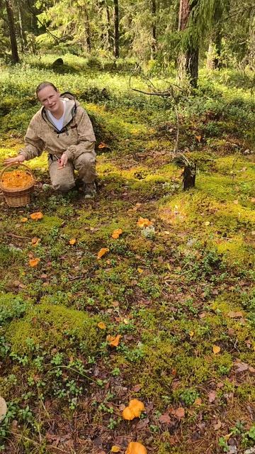 лисичковый рай🍄😉🙃❤🤗