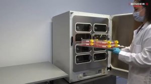 CO2-Инкубаторы-серии-CBF-BINDER-с-стерилизацией-горячим-воздухом-и-регулированием-влажности