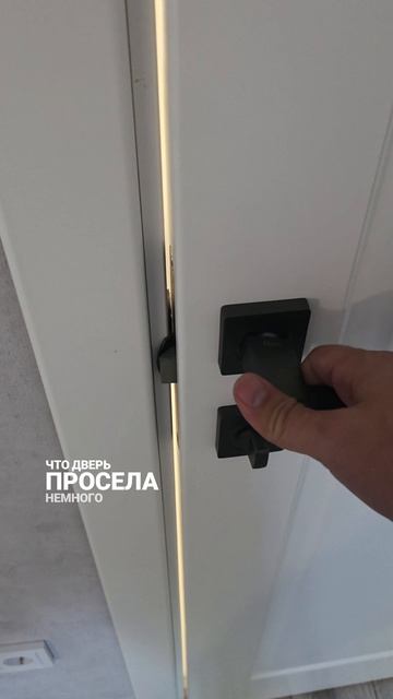 дверь царапает