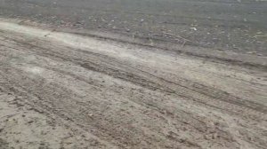 ТОЖЕ УДАЛЕННОЕ ВИДЕО, ЭТО ПЕРЕД ПЕРЕД ТЕМ КАК ОНИ УЖЕ ЗАЕХАЛИ В ДОМ