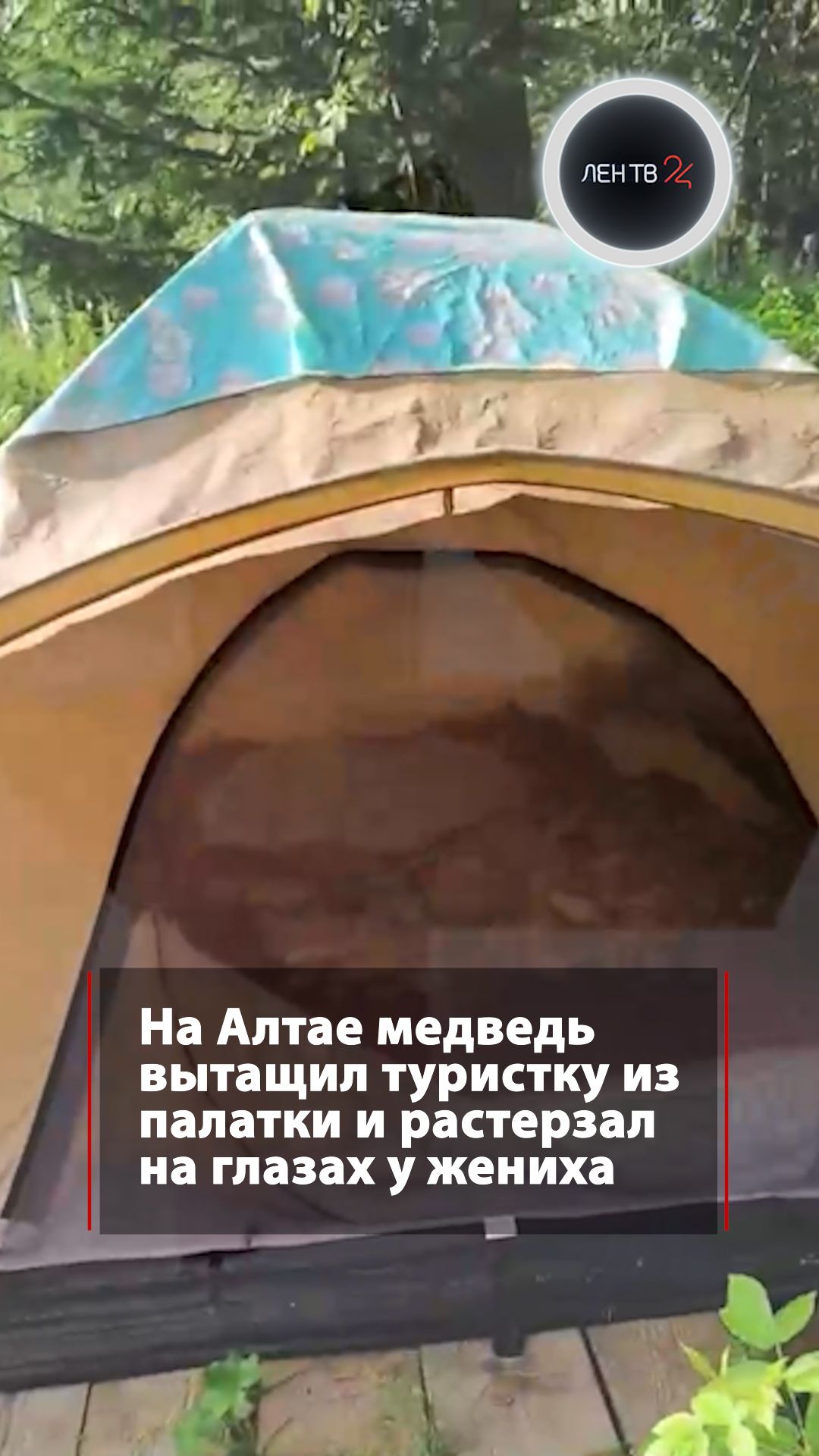 Медведь вытащил туристку из палатки и загрыз
