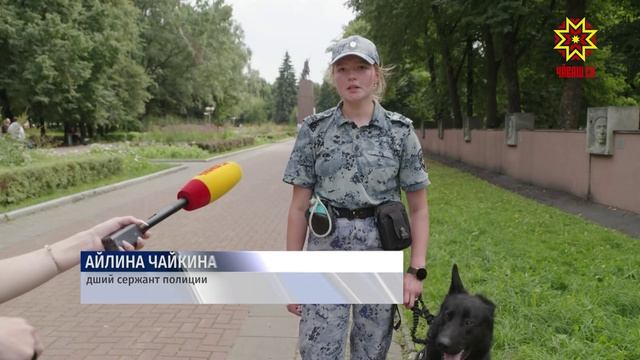 Секреты дрессировки и память о подвиге: в столице Чувашии отметили День фронтовой собаки
