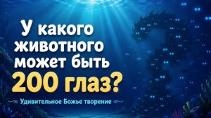 Интересный факт:«У какого животного может быть 200 глаз?»