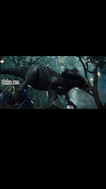 1000027015.mp4
